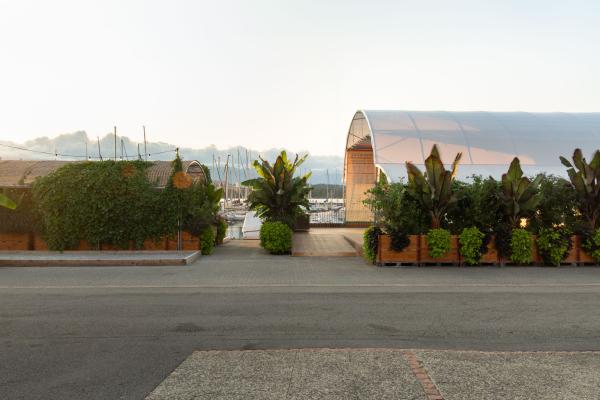 Canopee-2025_alois-rigotti_06 (small)