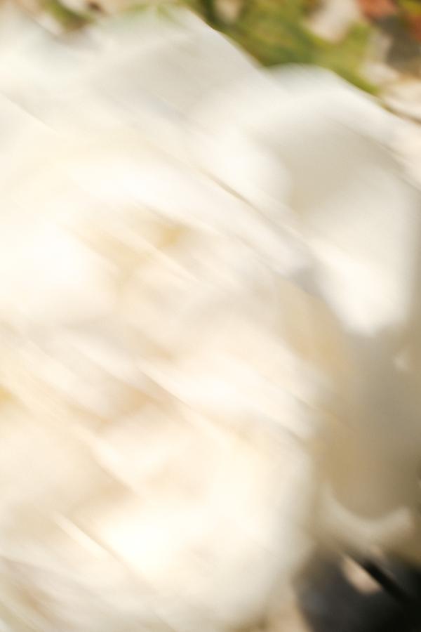 flowers_alois-rigotti_107 (small)