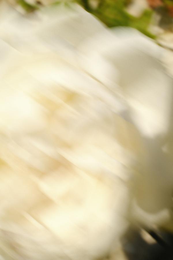 flowers_alois-rigotti_11 (small)