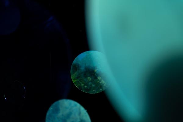 photo-installation_06 (small)