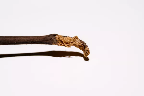 rigotti-alois_nature-morte_03 (small)